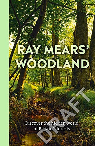 British Woodland : How to explore the secret world of our forests
