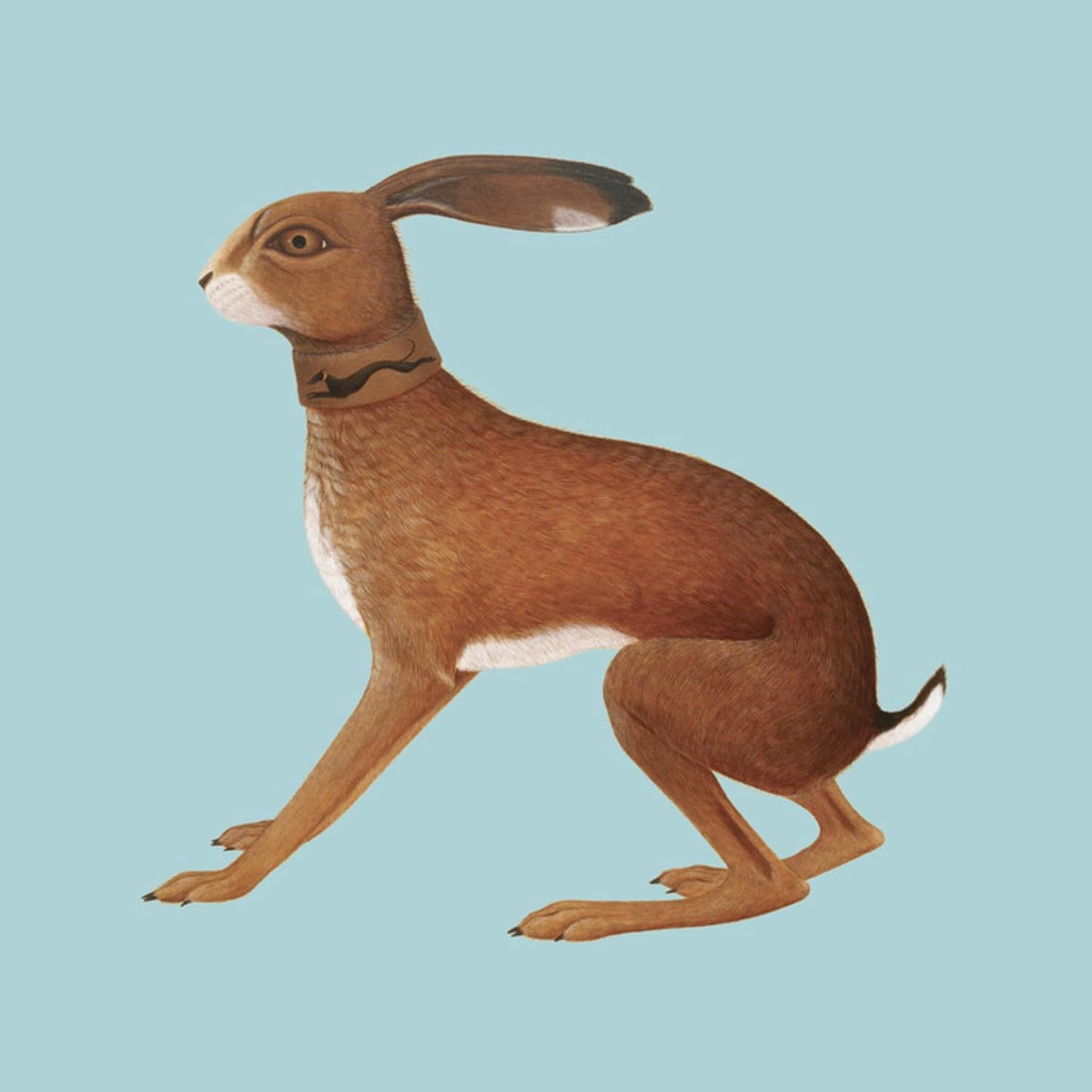 Vashti Bunyan - Lookaftering - Expanded Edition [CD]