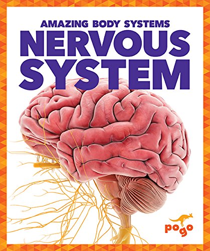 Nervous System (Amazing Body Systems)