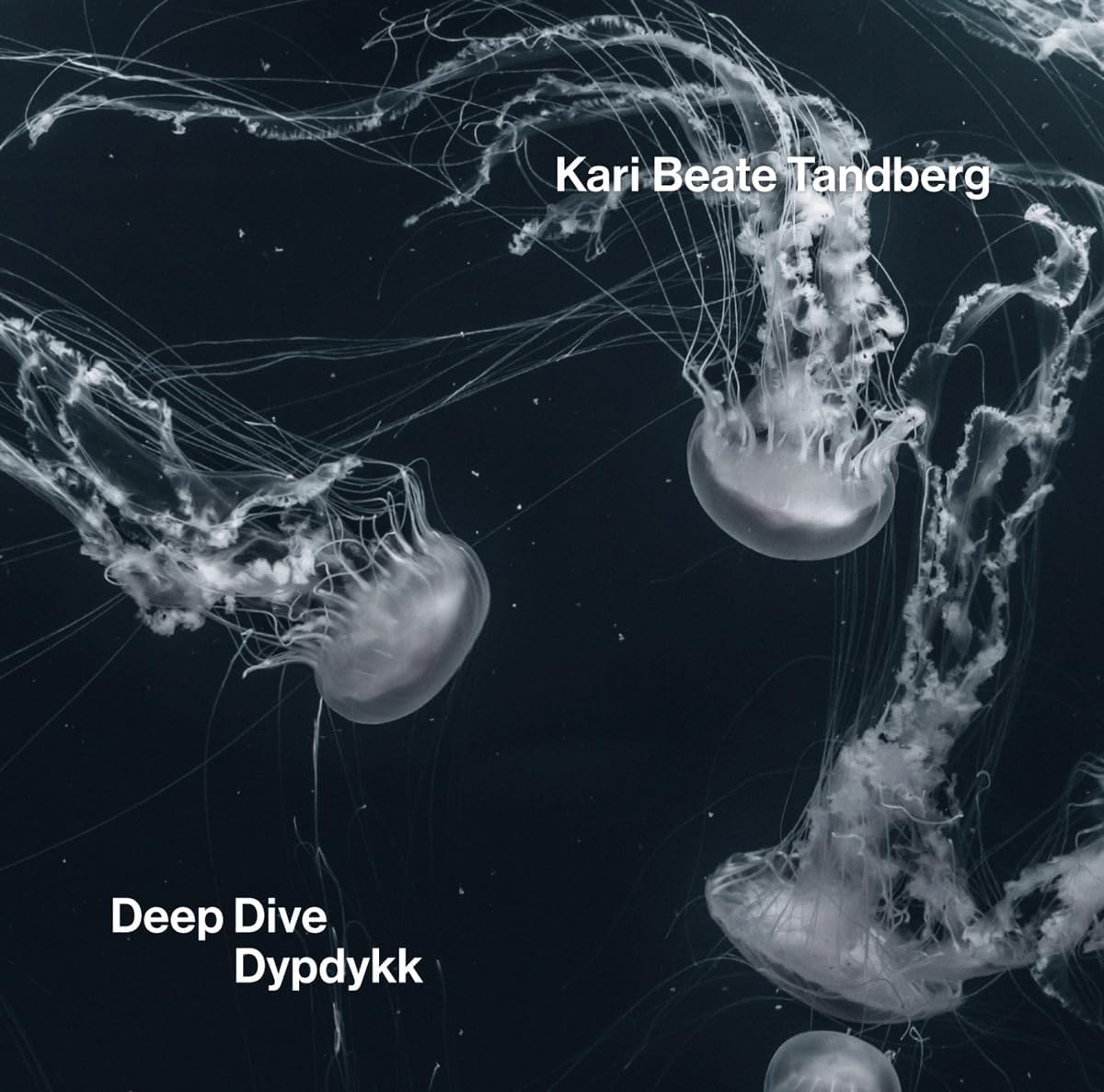 Kari Beate Tandberg - Deep Dive [CD]