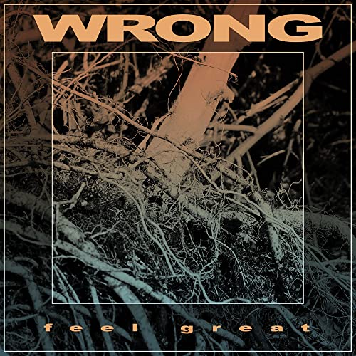 Wrong - Feel Great [CD]