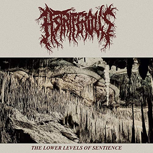 Astriferous - The Lower Levels Of Sentience [VINYL]