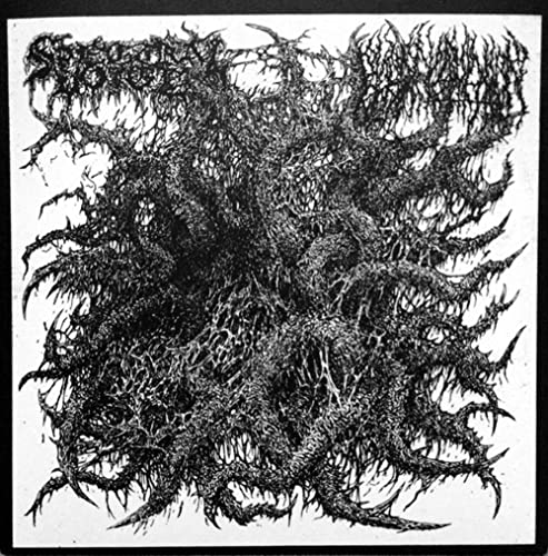 Spectral Voice / Blood Incantation - Split [7"] [VINYL]