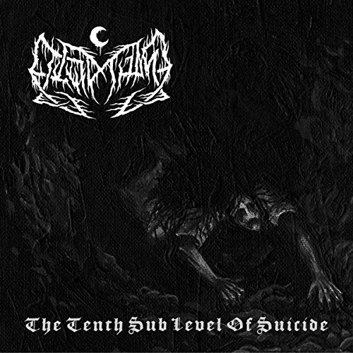 Leviathan - Leviathan - The Tenth Sub Level Of Suicide [vinyl] [VINYL]