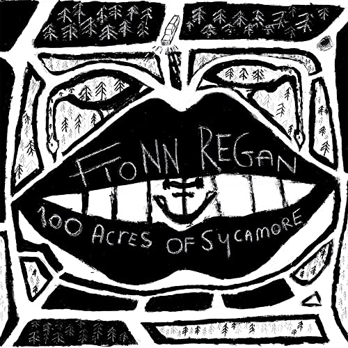 Fionn Regan - 100 Acres Of Sycamore [VINYL]