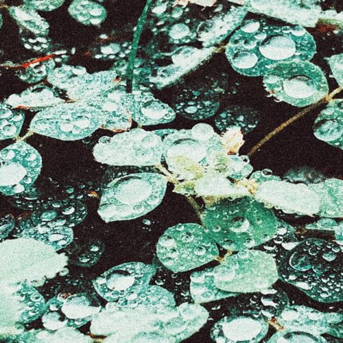 Sadness - Rain Chamber [VINYL]