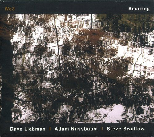 Liebman Dave - Amazing - We3 [CD]