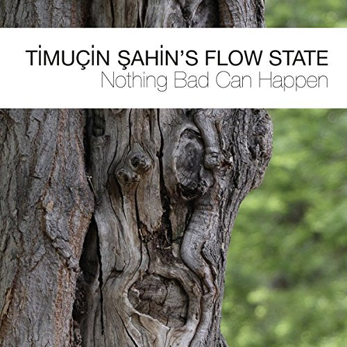 Timucin Sahin's Flow State - Nothing Bad Can Happen [CD]