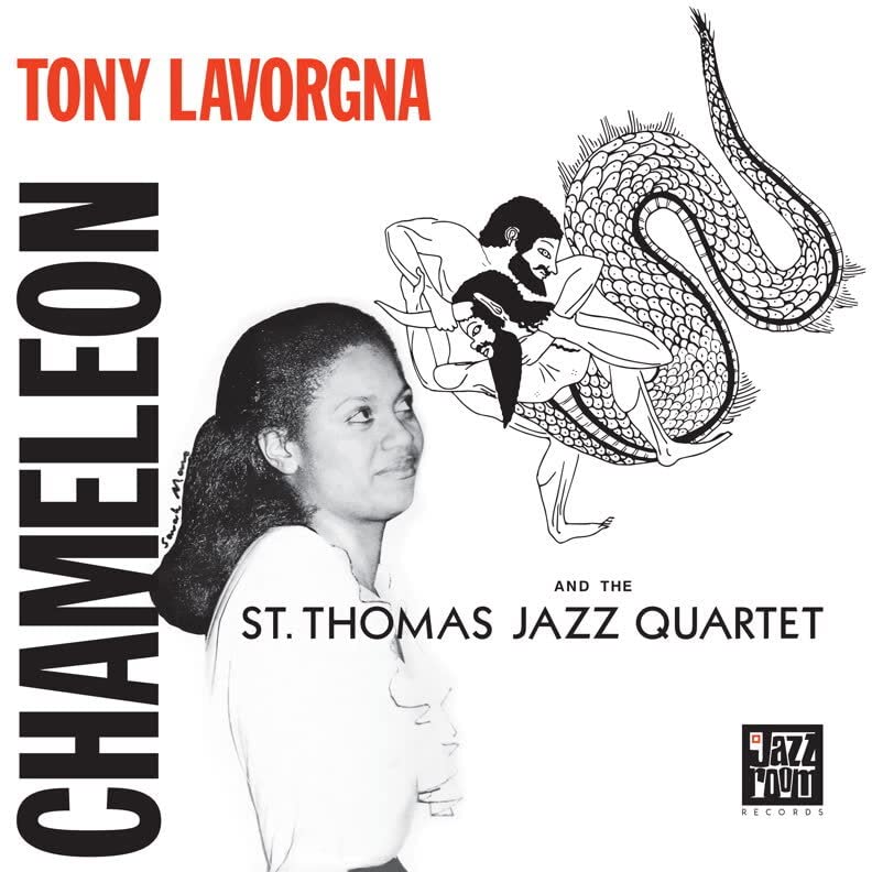 Lavorgna,tony & The St. Thomas - Chameleon  [VINYL]