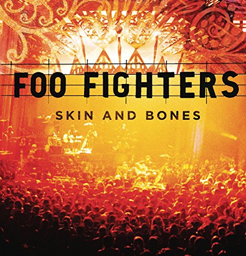 Foo Fighters - Skin And Bones  [VINYL]