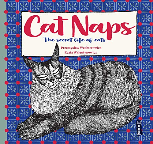 The Secret Lives of Cats: The Secret Life of Cats (Gift Book Cat Naps)