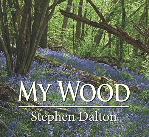 My Wood