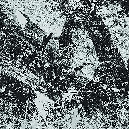 Various - The Newest Youth Rebellion [VINYL]