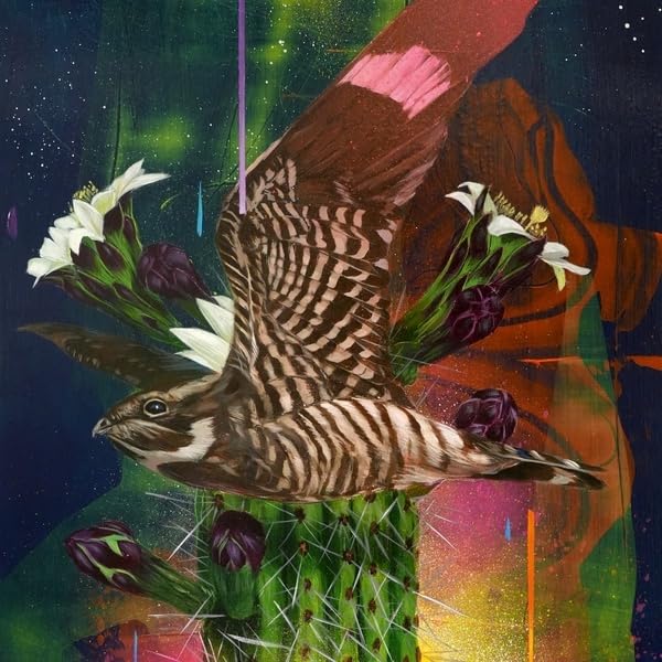Various - Playa Larga / 1900 Ocean Ave [VINYL]