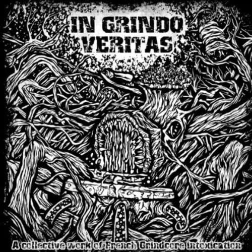 Various Artists - In Grindo Veritas [CD]