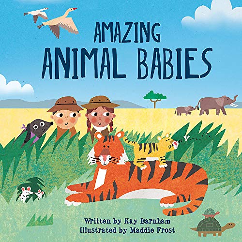 Amazing Animal Babies (Look and Wonder)
