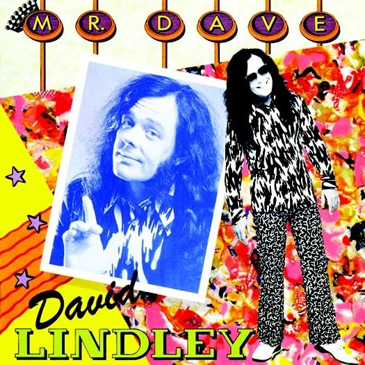 Lindley,david - Mr. Dave [CD]