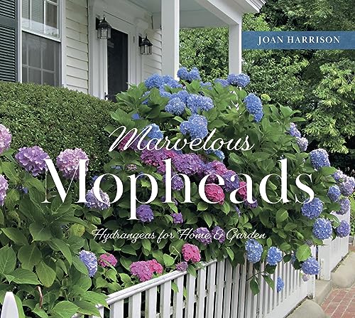 Marvelous Mopheads : Hydrangeas for Home & Garden