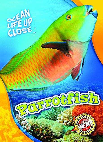 Parrotfish (Ocean Life Up Close)
