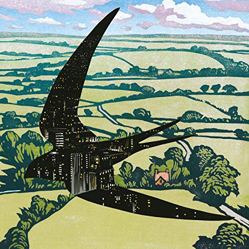 Stylized illustration of a swift in flight over a green, rural landscape.