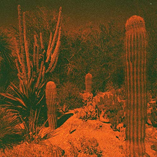 Knowler,cameron & Eli Winter - Anticipation (LP)  [VINYL]