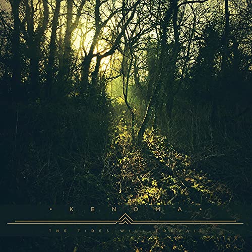 Various - Tides Will Prevail [VINYL]