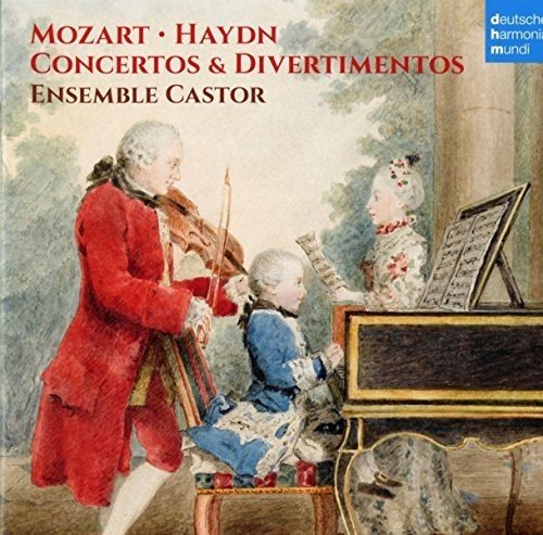 Various - Mozart/Haydn/Concertos & Divertimento [CD]