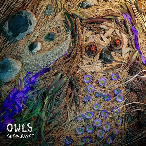 OWLS - RARE BIRDS [CD]