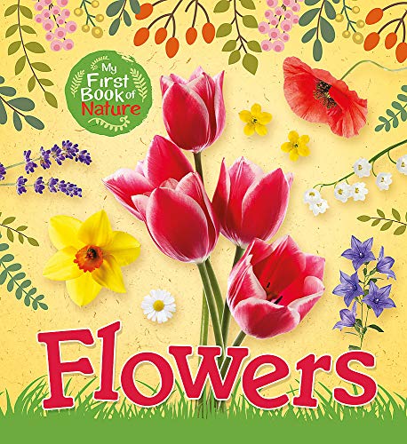 Flowers (My First Book of Nature)
