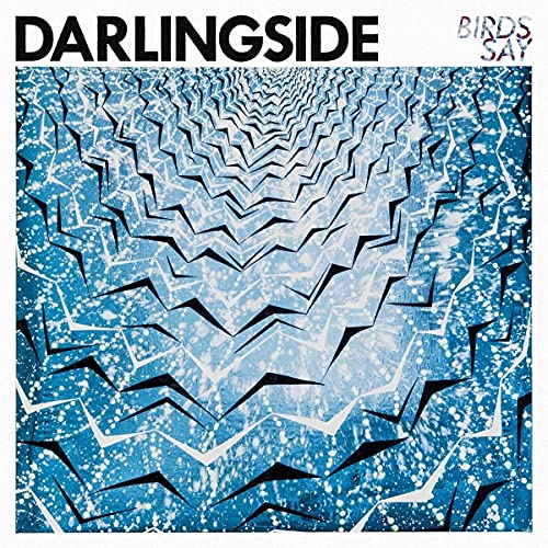 Darlingside - Birds Say [CD]