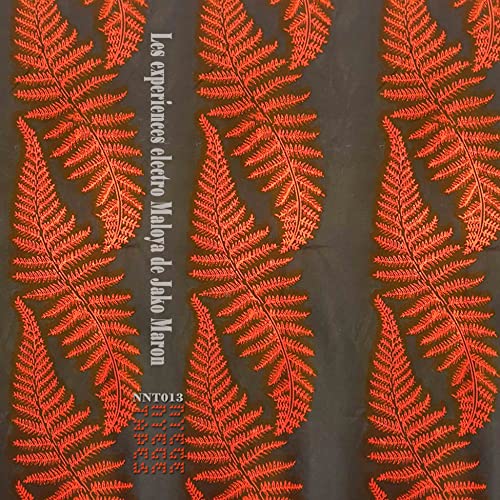 Maron Jako - The Electro Maloya Experiments Of Jako Maron [VINYL]
