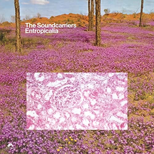Various - Entropicalia [CD]