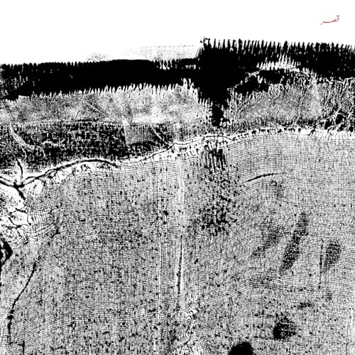 Various - Qasr [VINYL]