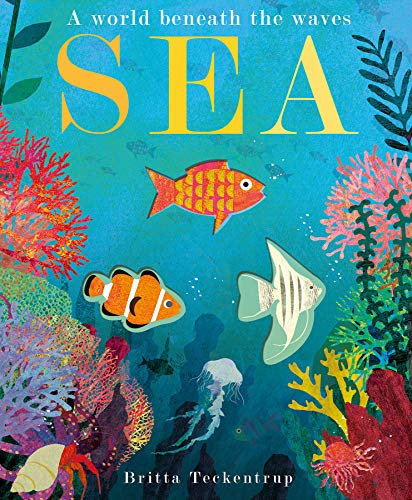 Sea: A World Beneath the Waves: 1