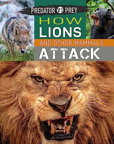 Predator vs Prey: How Lions and other Mammals Attack!