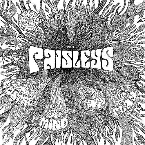 The Paisleys - Cosmic Mind At Play [VINYL]