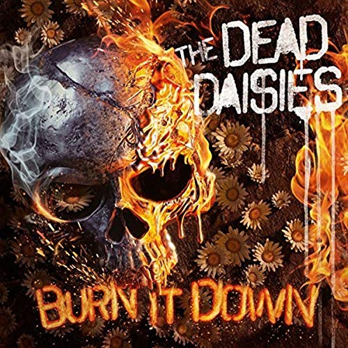 Burning skull with daisies and flames, album cover for The Dead Daisies.
