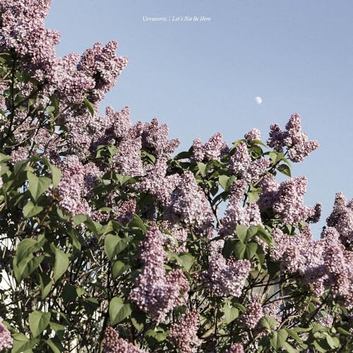 Urvanovic - Let's Not Be Here [VINYL]