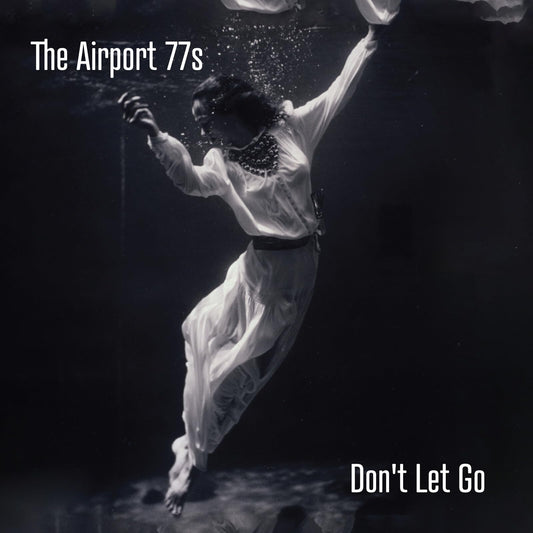 The Airport 77s - Don't Let Go (Vinyl) [VINYL]