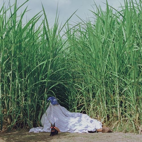 Indus - Indus - Negra [vinyl] [VINYL]