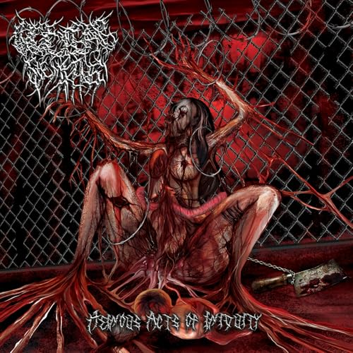 Nuclear Remains - Heinous Acts Of Iniquity [CD]
