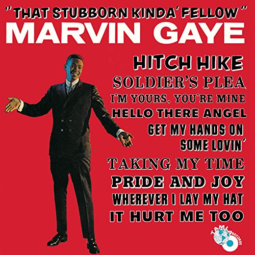 Various - The Stubborn Kinda Fellow [VINYL]