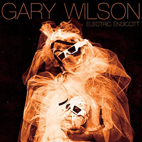 Gary Wilson - Electric Endicott [CD]