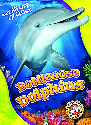 Bottlenose Dolphins (Ocean Life Up Close)