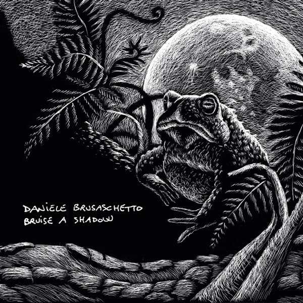 BRUSASCHETTO DANIELE - BRUISE A SHADOW [CD]