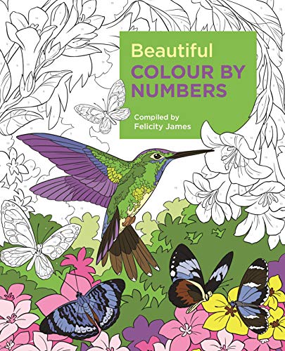 Beautiful Colour by Numbers (Arcturus Colour by Numbers Collection, 12)