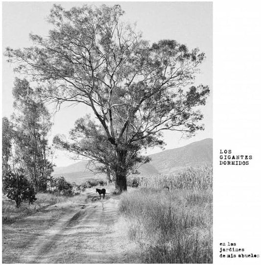 Los Gigantes Dormidos - Los Jardines De Mis Abuelos [VINYL]