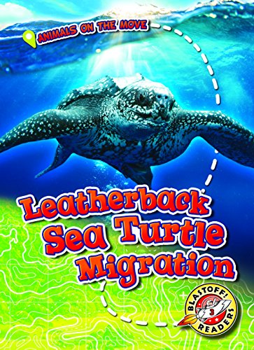 Leatherback Sea Turtle Migration (Animals on the Move)