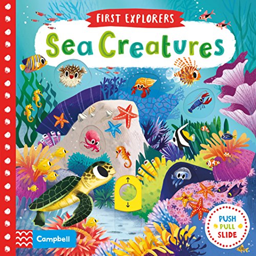 Sea Creatures (Campbell First Explorers)