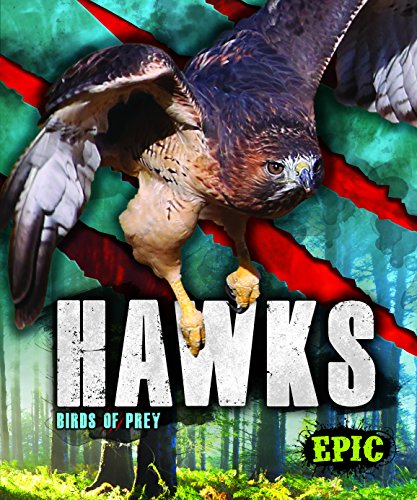 Hawks (Birds of Prey)